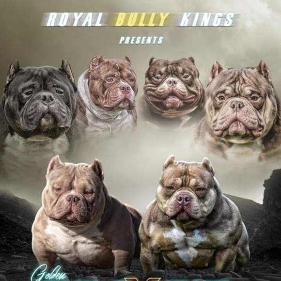 Meet your Posher, Moolah - Picture 1 of 1